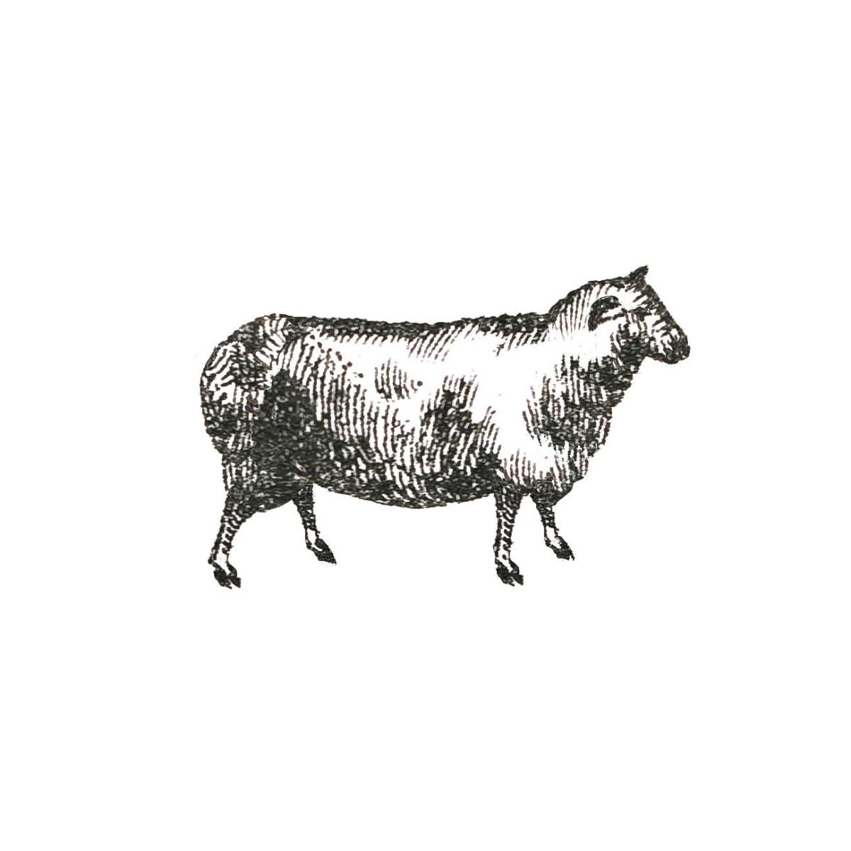 Farm Animal Icons I -Paper Art-26"x26"