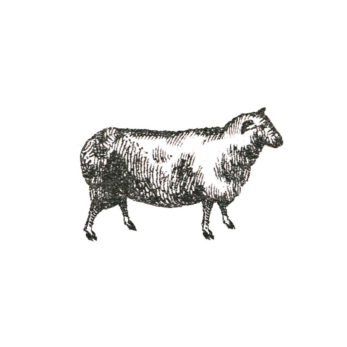 Farm Animal Icons I -Paper Art-32"x32"