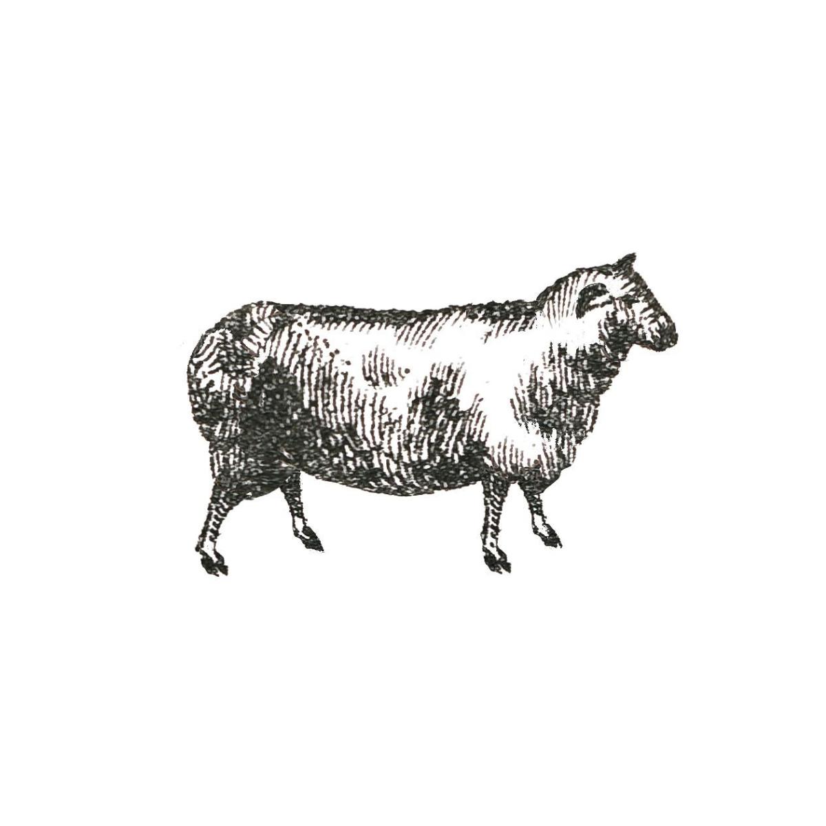 Farm Animal Icons I -Paper Art-42"x42"