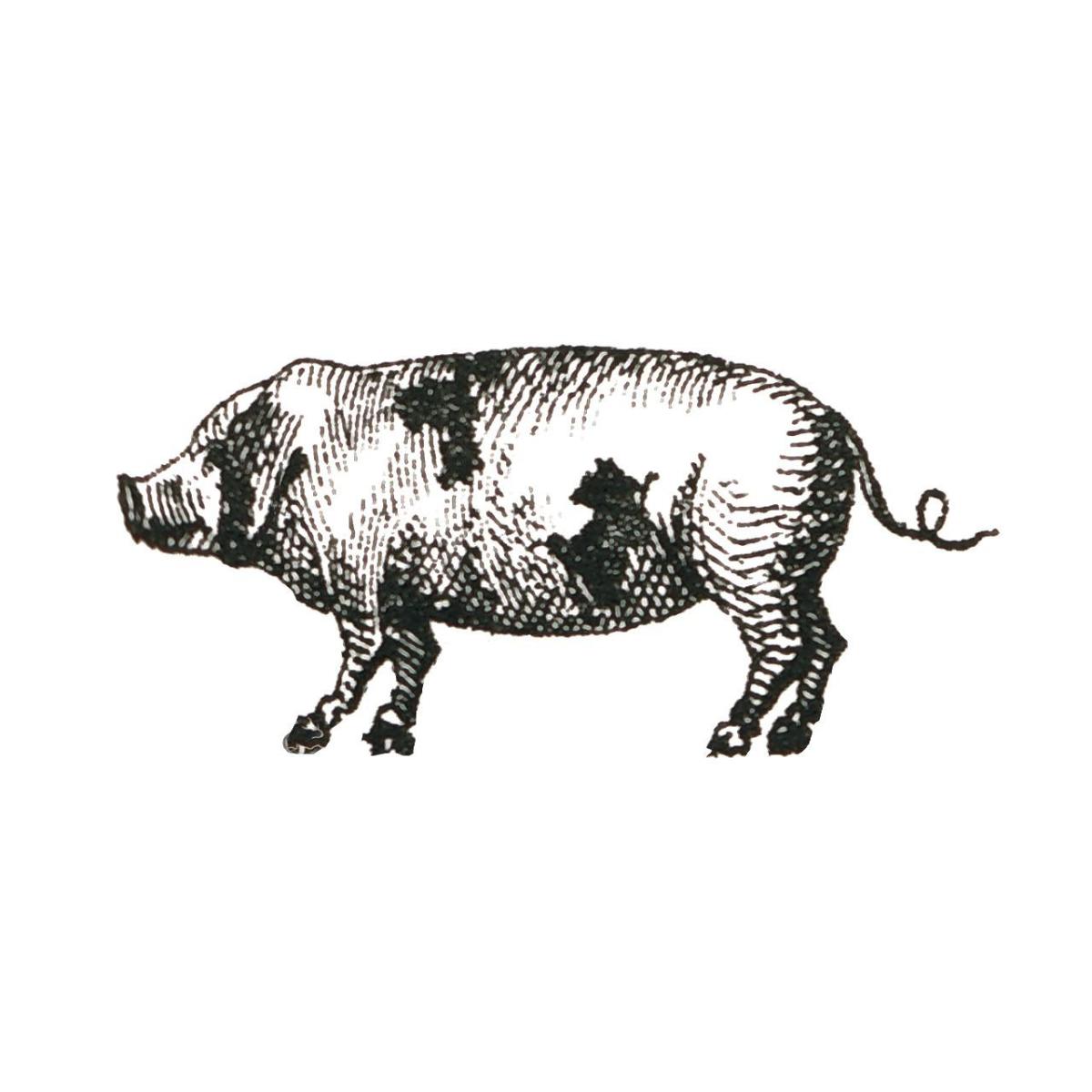 Farm Animal Icons II -Paper Art-32"x32"