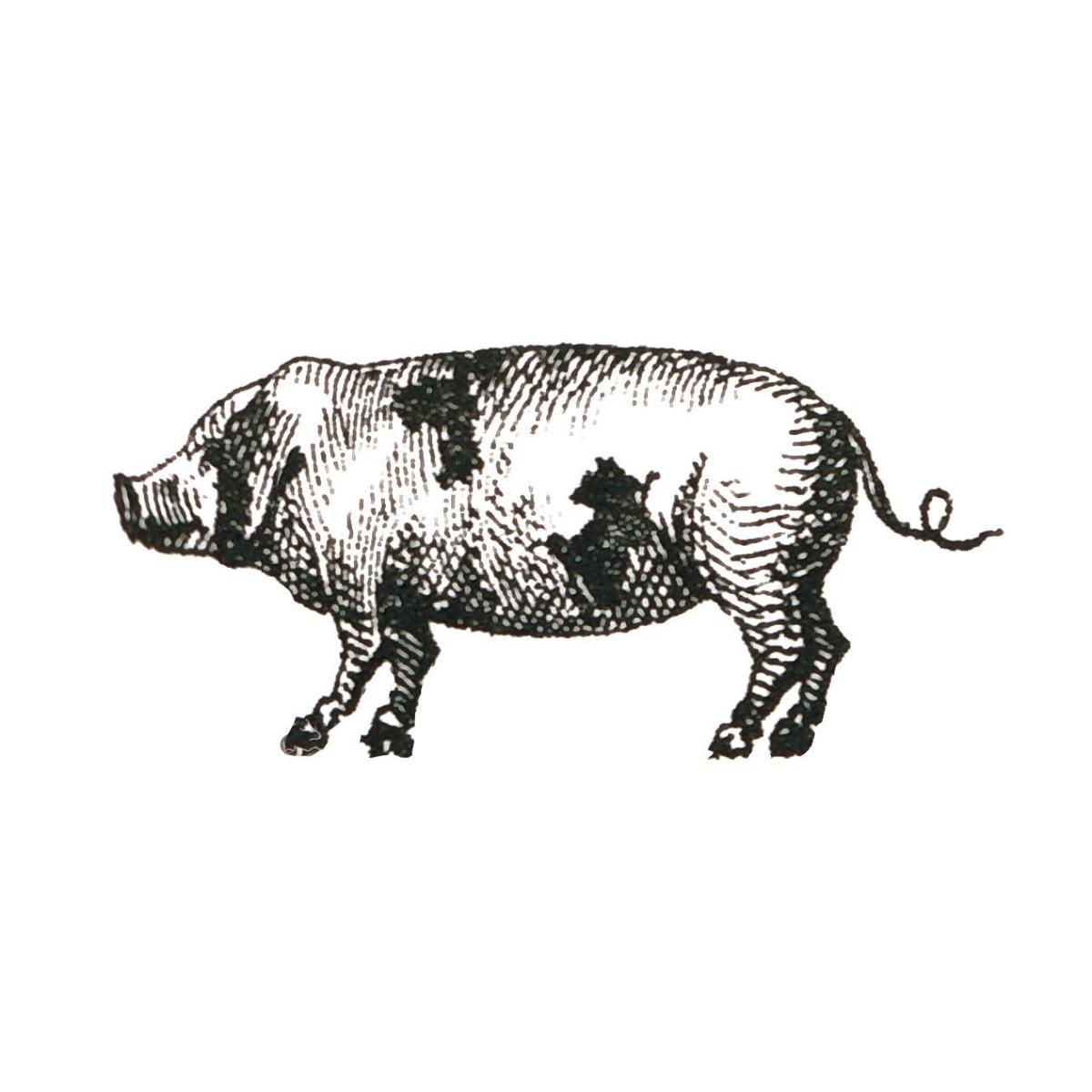Farm Animal Icons II -Paper Art-38"x38"