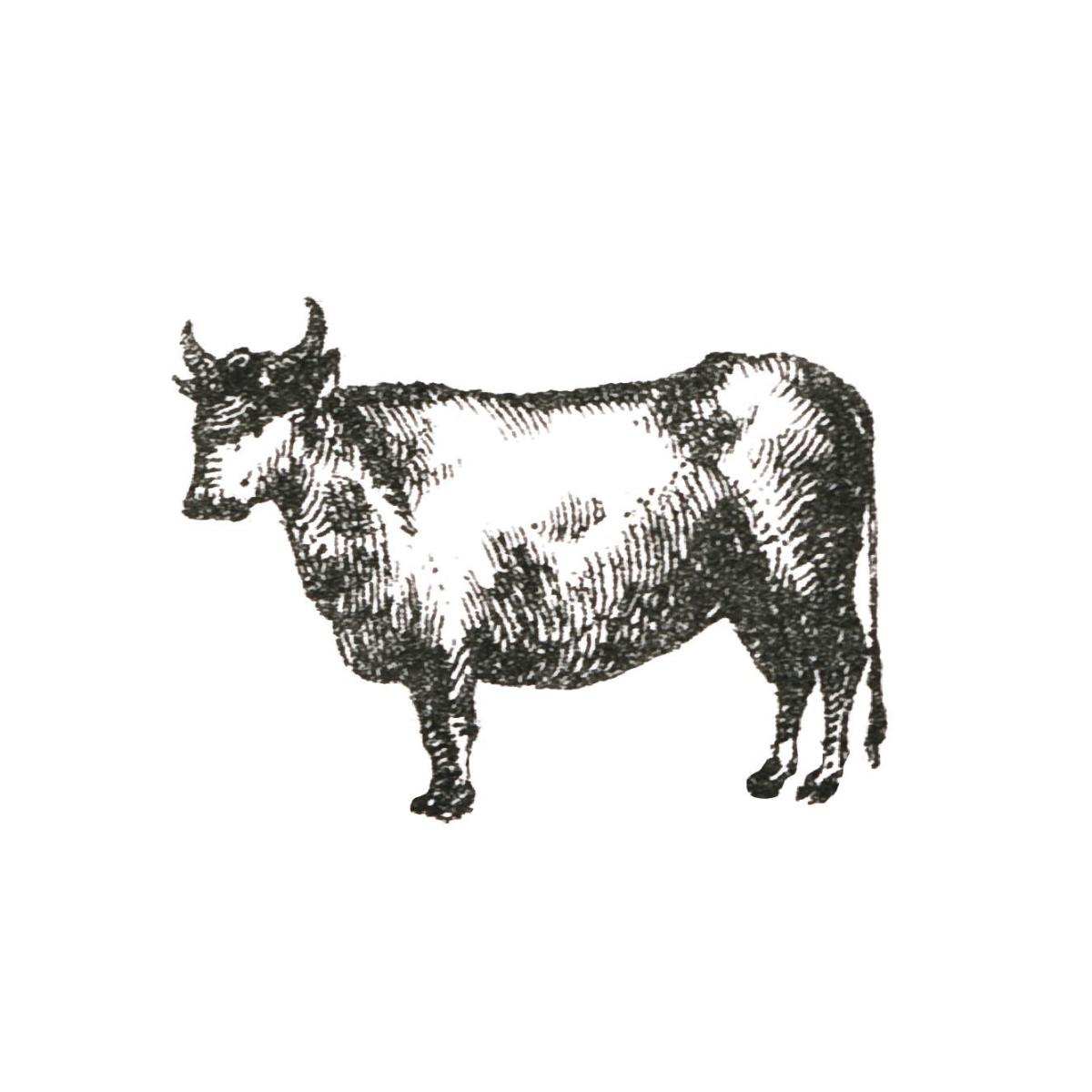 Farm Animal Icons IV -Paper Art-20"x20"