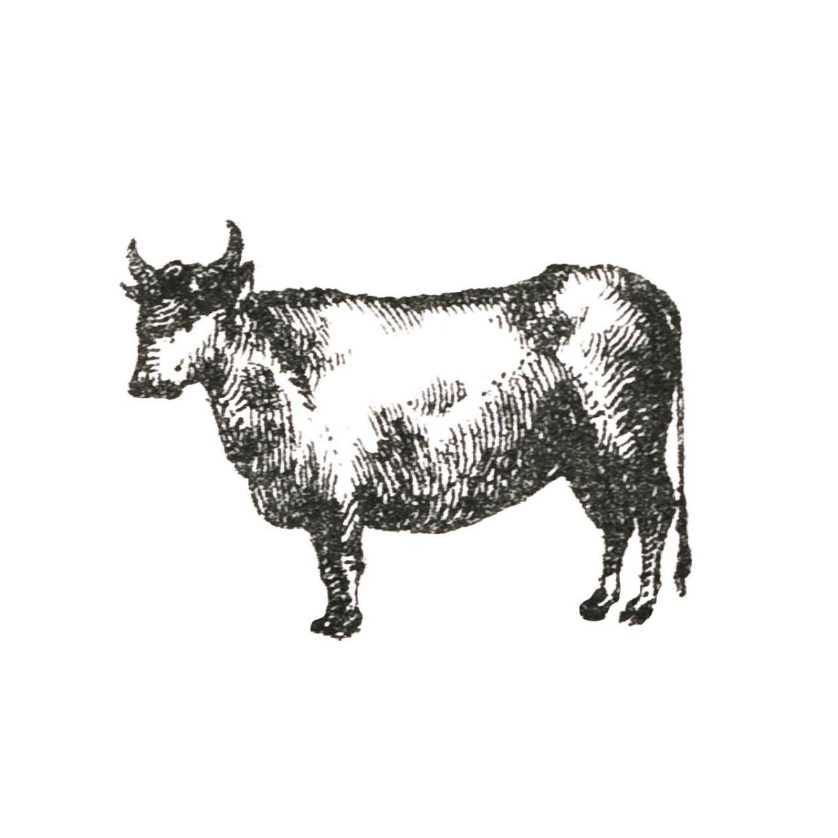 Farm Animal Icons IV -Paper Art-32"x32"