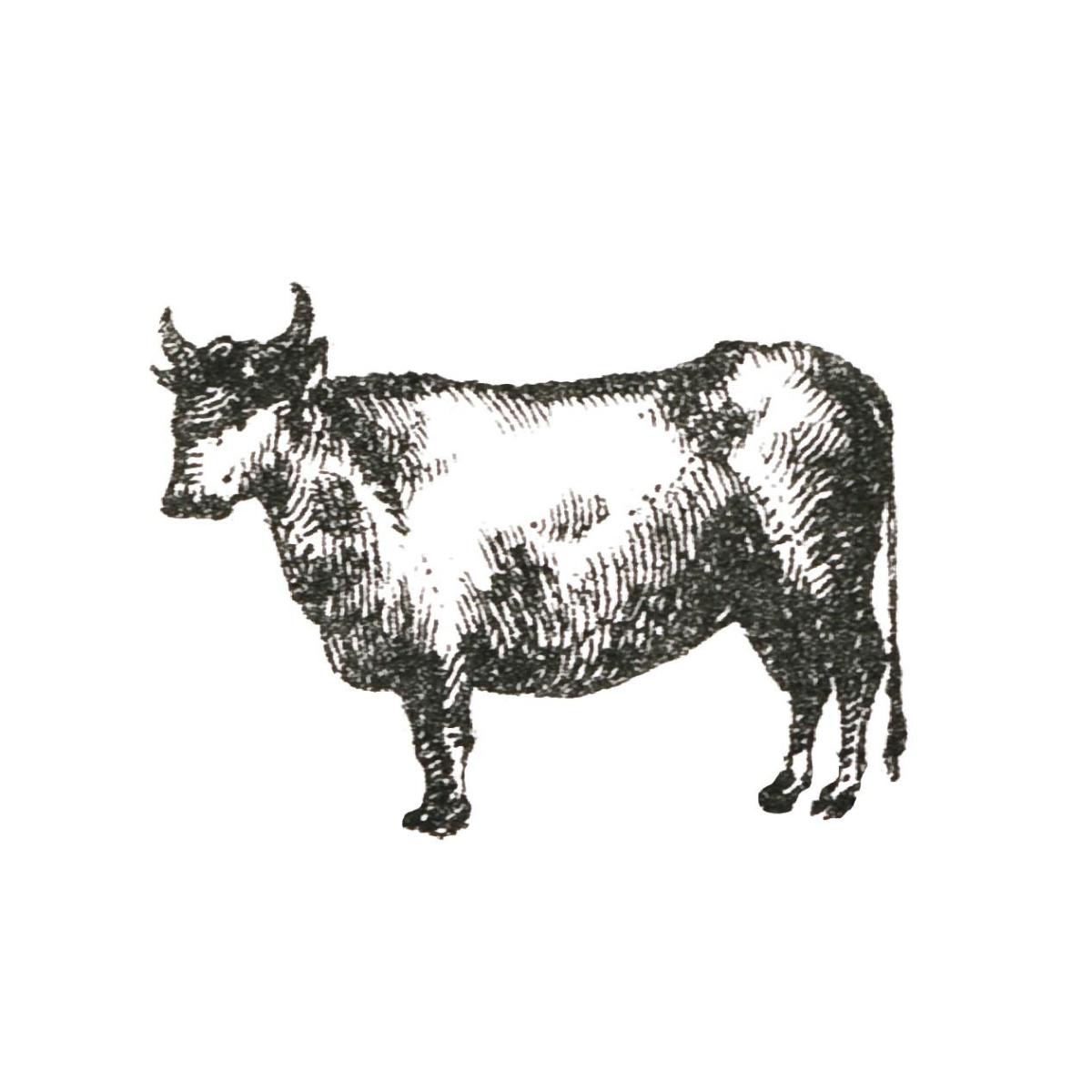 Farm Animal Icons IV -Paper Art-42"x42"