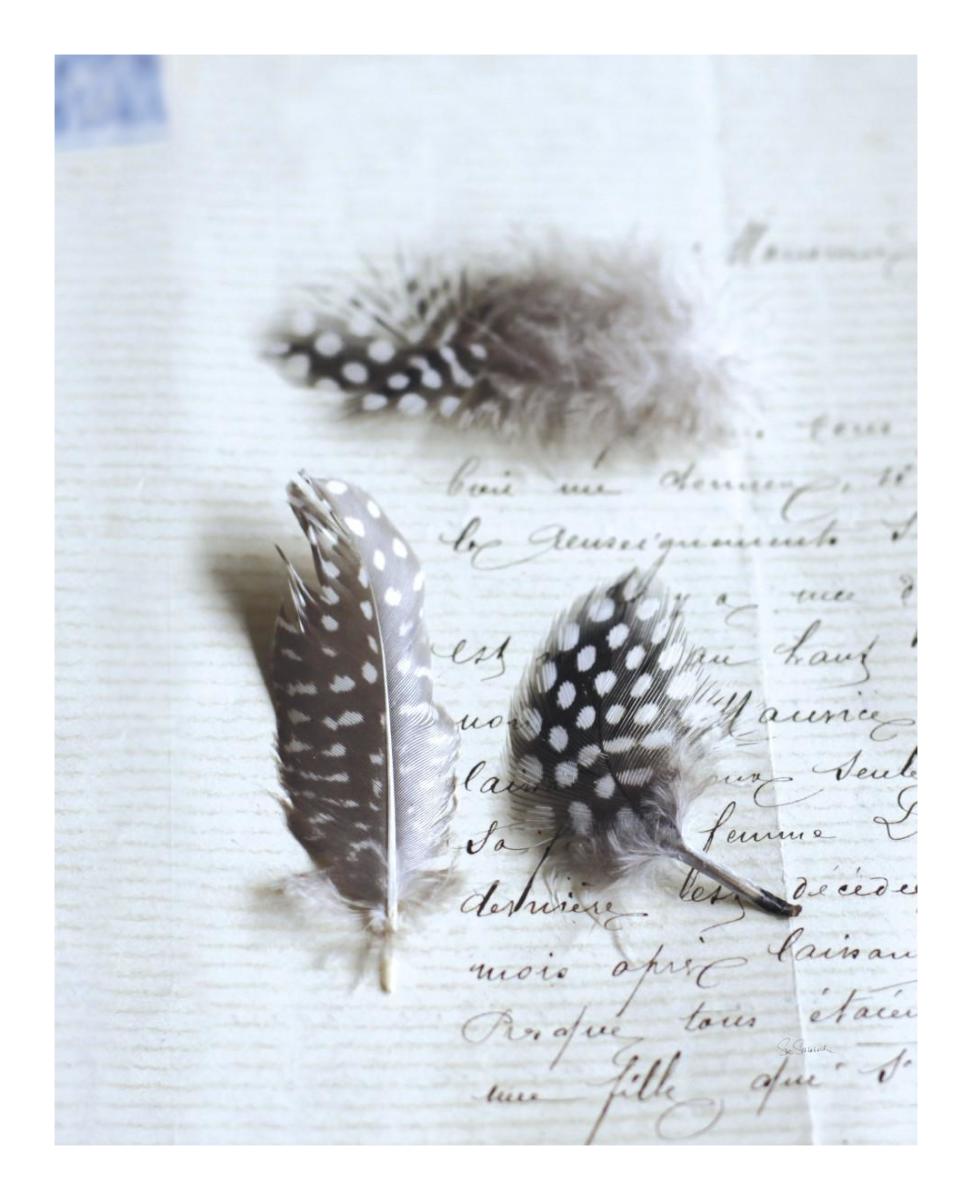 Plume Letters VI -Paper Art-18"x22"