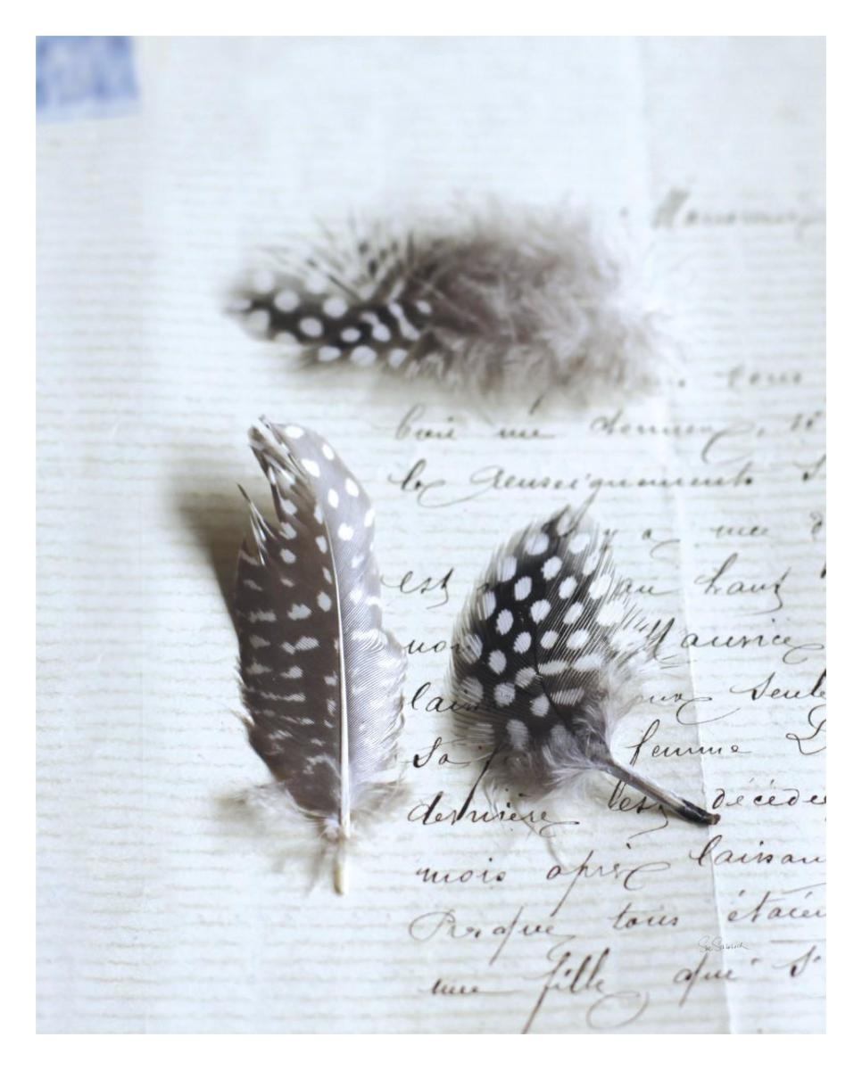 Plume Letters VI -Paper Art-24"x30"