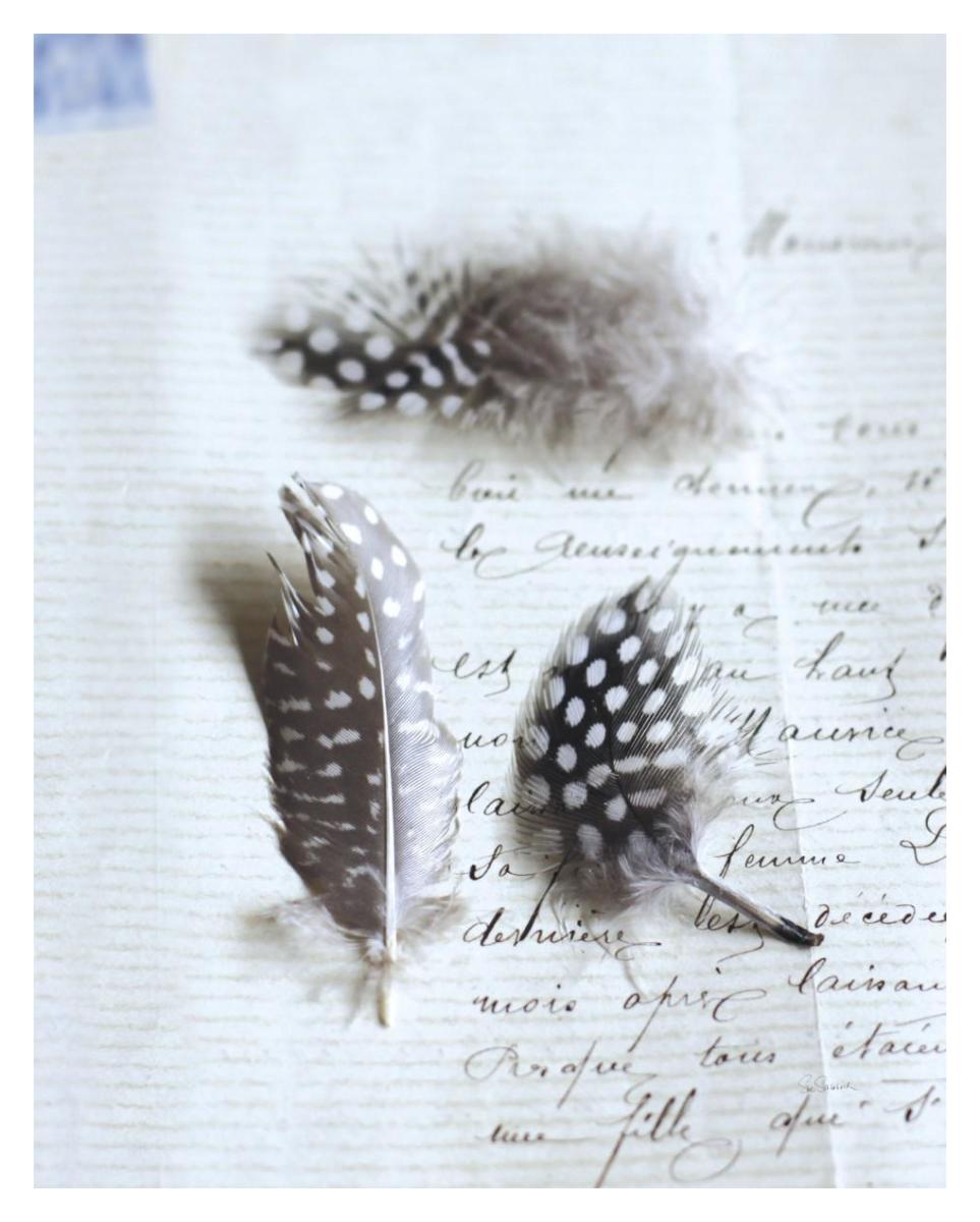 Plume Letters VI -Paper Art-30"x37"