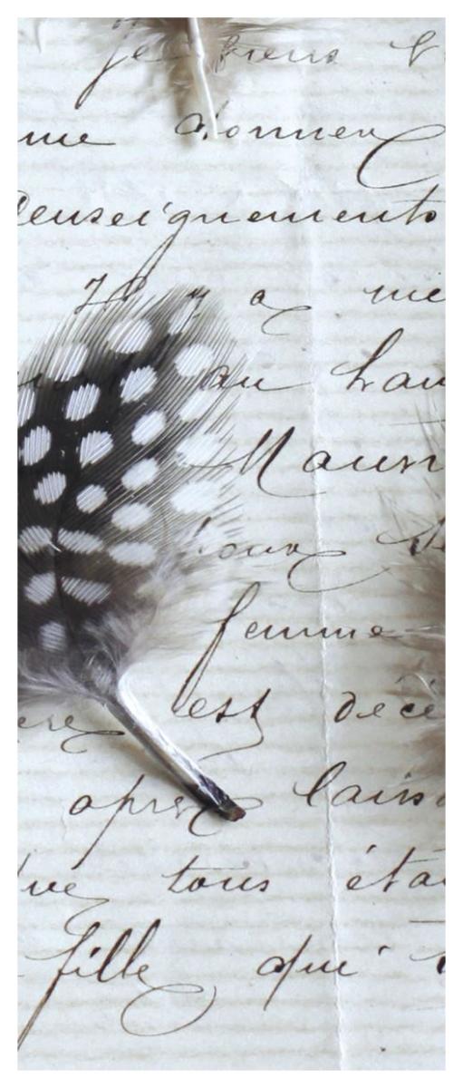 Plume Feathers V  I -Paper Art-26"x62"