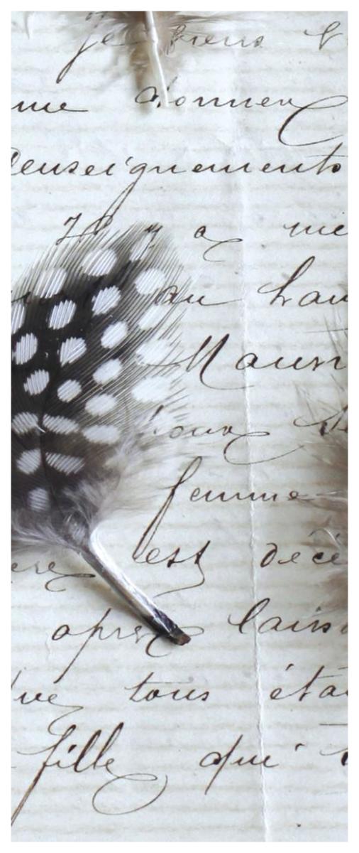 Plume Feathers V  I -Paper Art-32"x77"