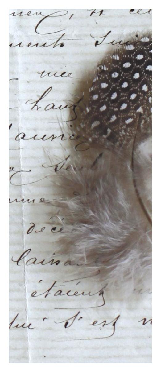 Plume Feathers V  II -Paper Art-18"x42"