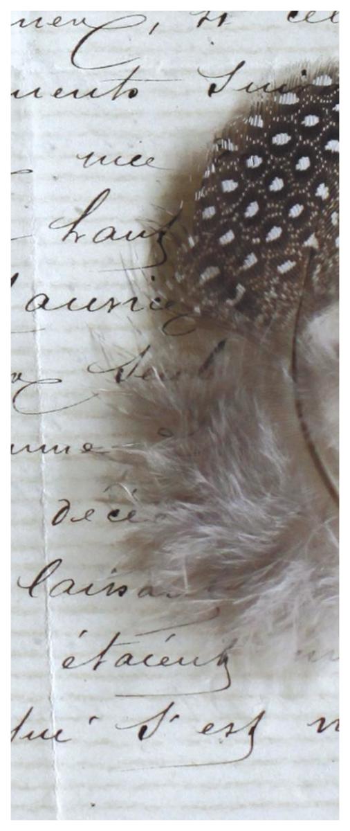 Plume Feathers V  II -Paper Art-32"x77"