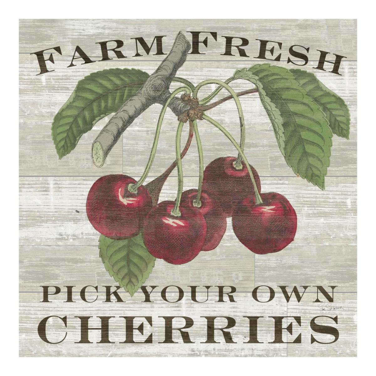 Farm Fresh Cherries Square -Paper Art-20"x20"