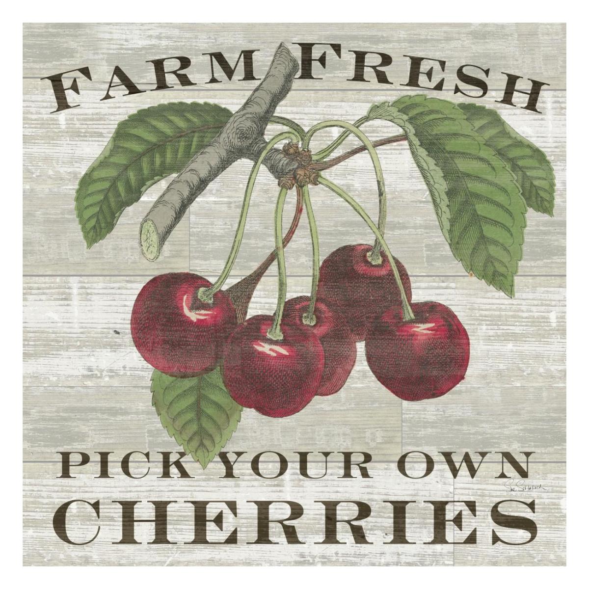 Farm Fresh Cherries Square -Paper Art-26"x26"