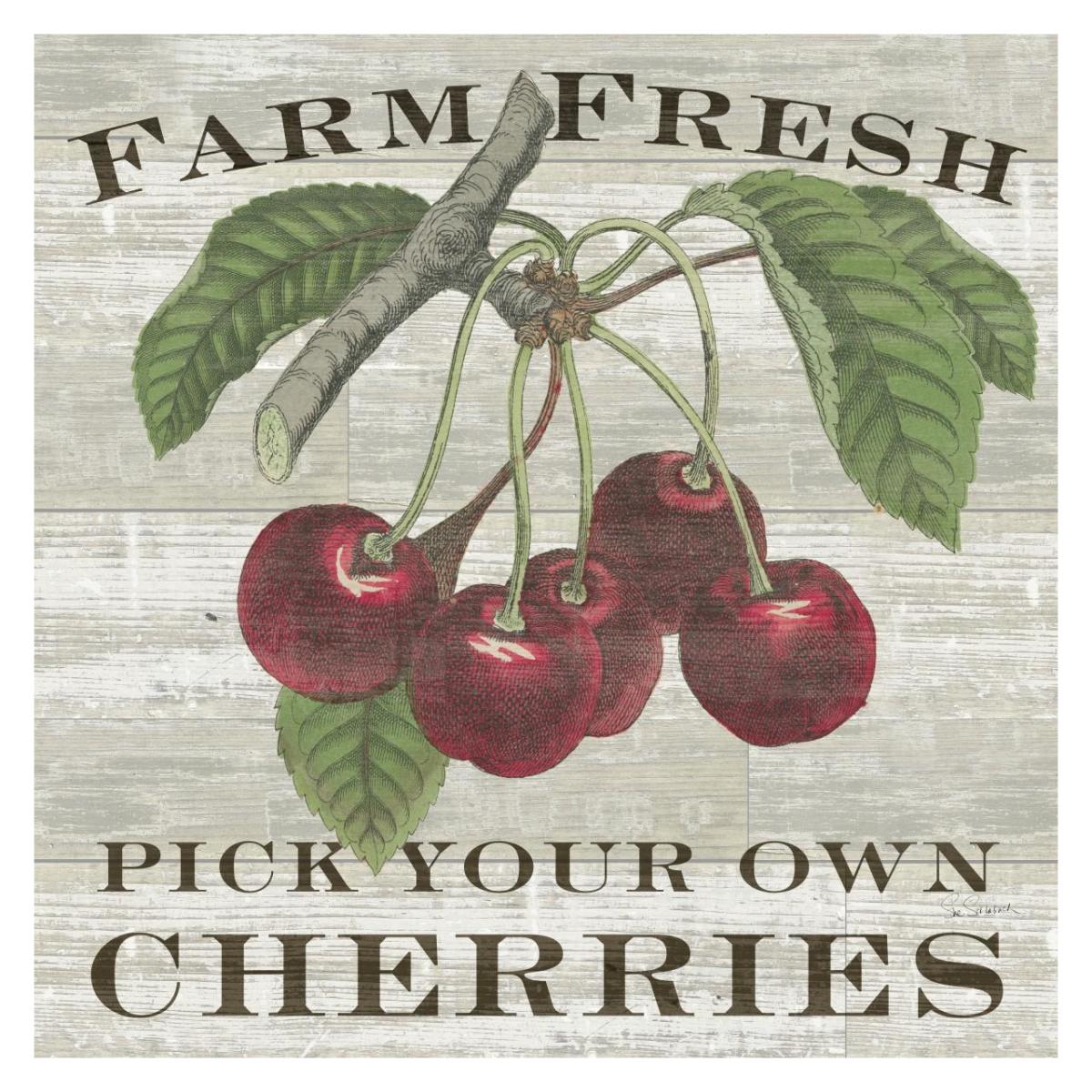 Farm Fresh Cherries Square -Paper Art-32"x32"