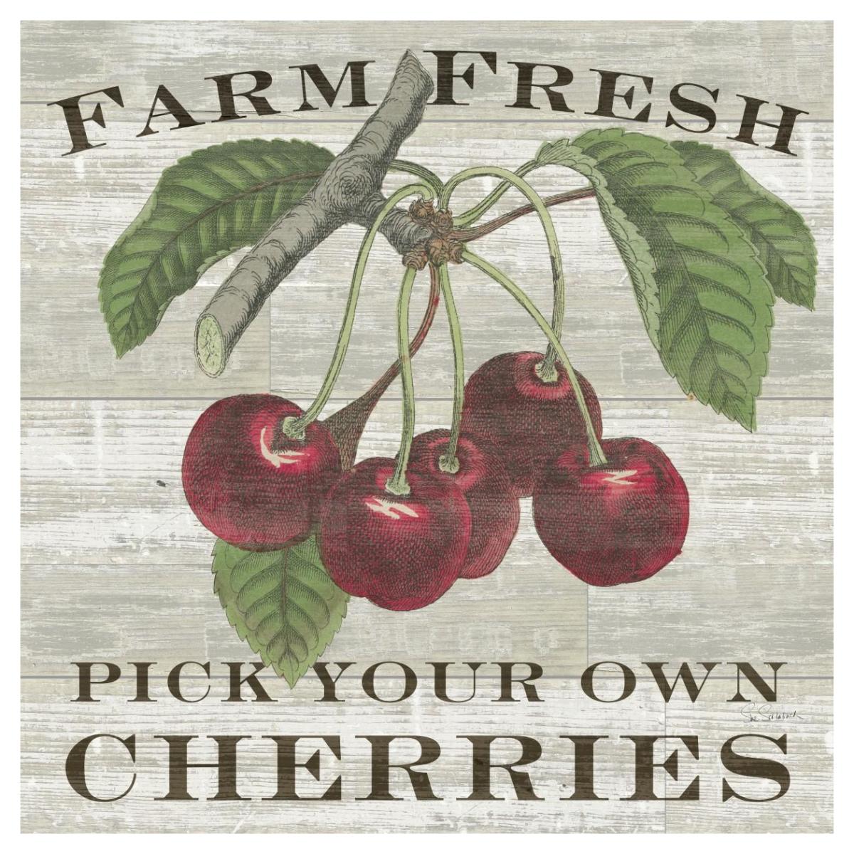 Farm Fresh Cherries Square -Paper Art-42"x42"