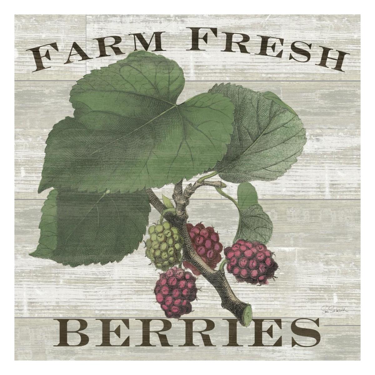 Farm Fresh Raspberries Square -Paper Art-26"x26"