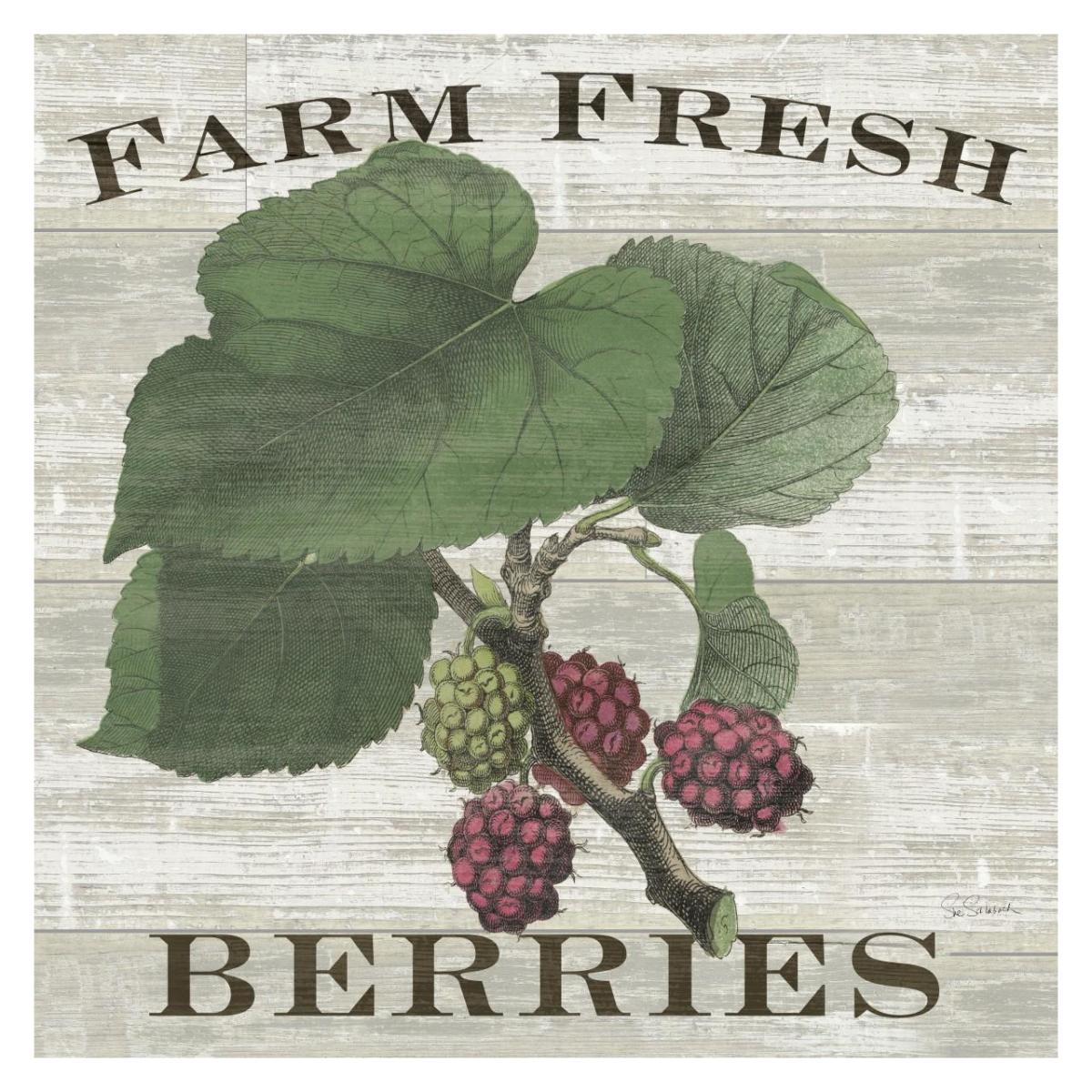 Farm Fresh Raspberries Square -Paper Art-32"x32"