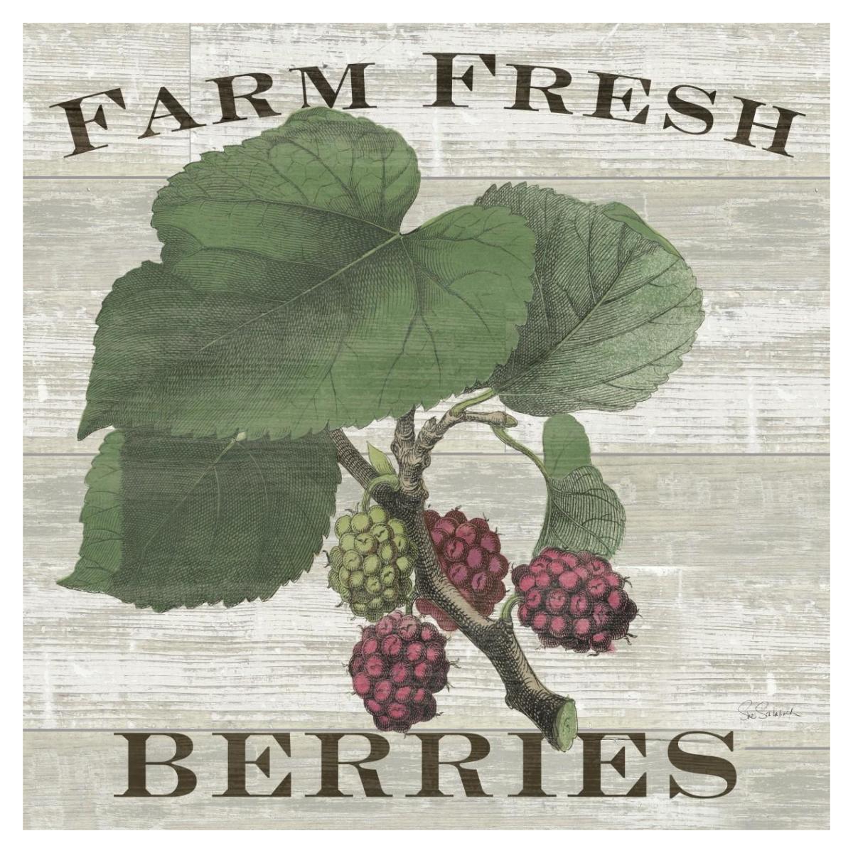 Farm Fresh Raspberries Square -Paper Art-38"x38"