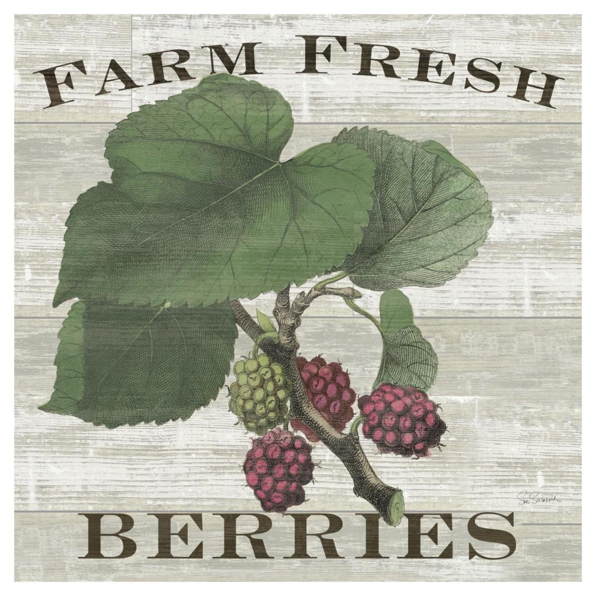 Farm Fresh Raspberries Square -Paper Art-42"x42"