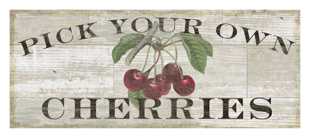 Farm Fresh Cherries -Paper Art-32"x14"