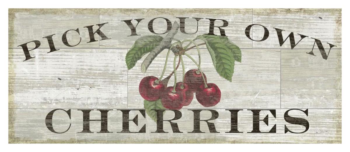 Farm Fresh Cherries -Paper Art-42"x18"