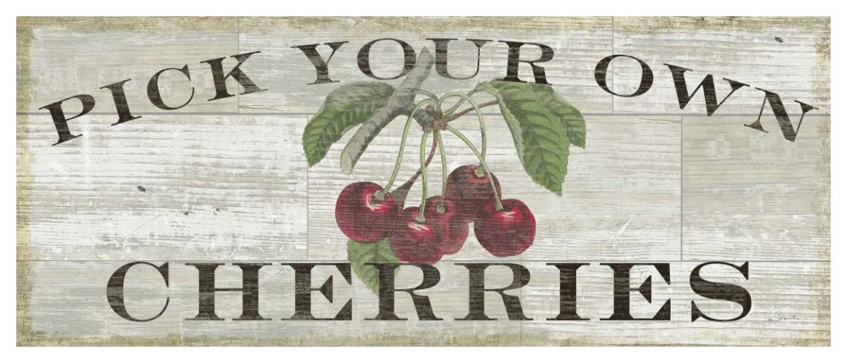 Farm Fresh Cherries -Paper Art-52"x22"