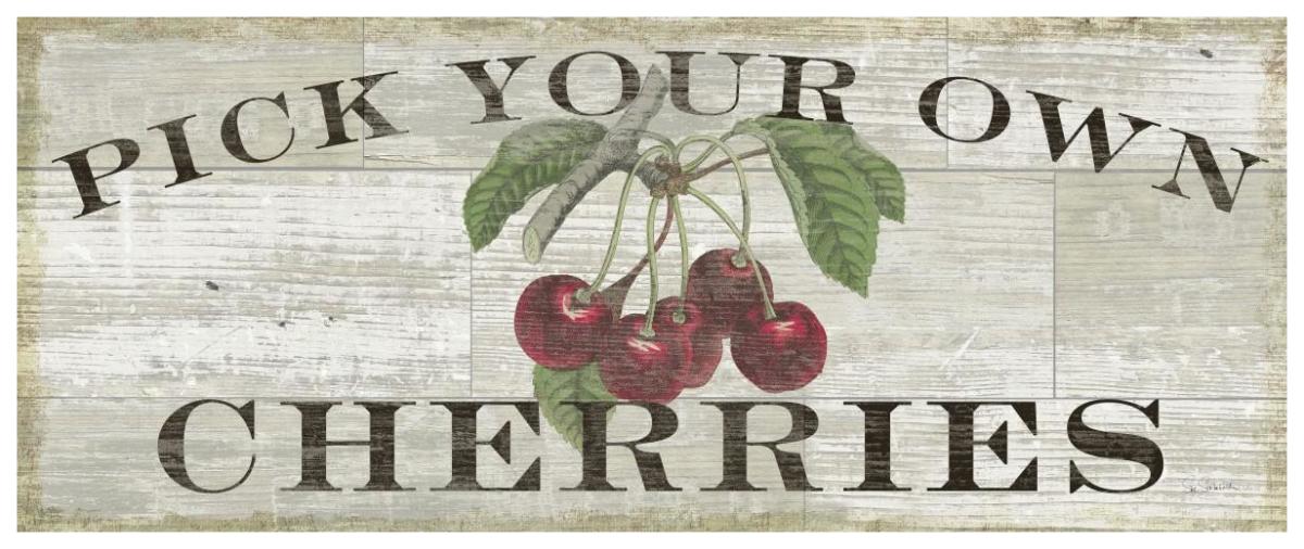 Farm Fresh Cherries -Paper Art-77"x32"