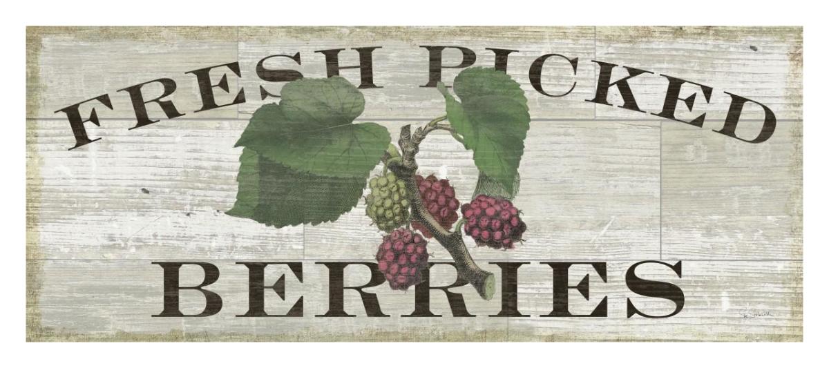 Farm Fresh Raspberries -Paper Art-32"x14"