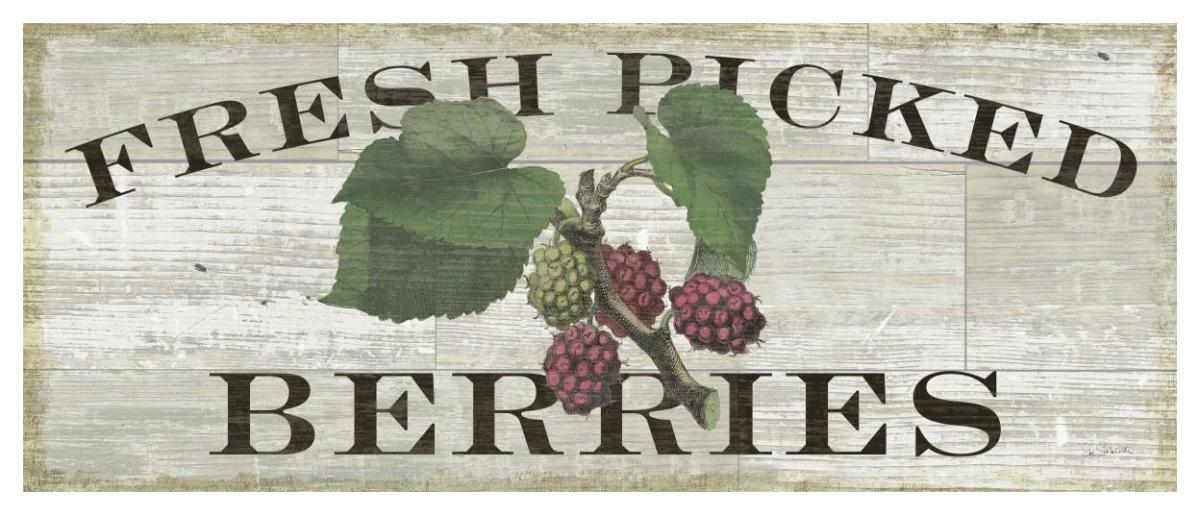 Farm Fresh Raspberries -Paper Art-52"x22"