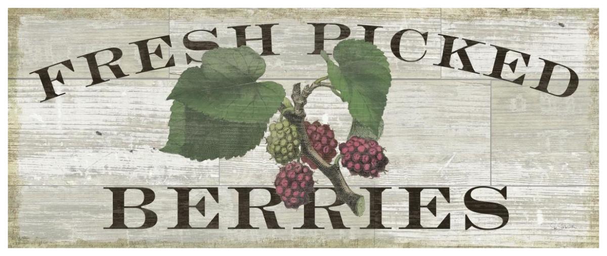Farm Fresh Raspberries -Paper Art-77"x32"