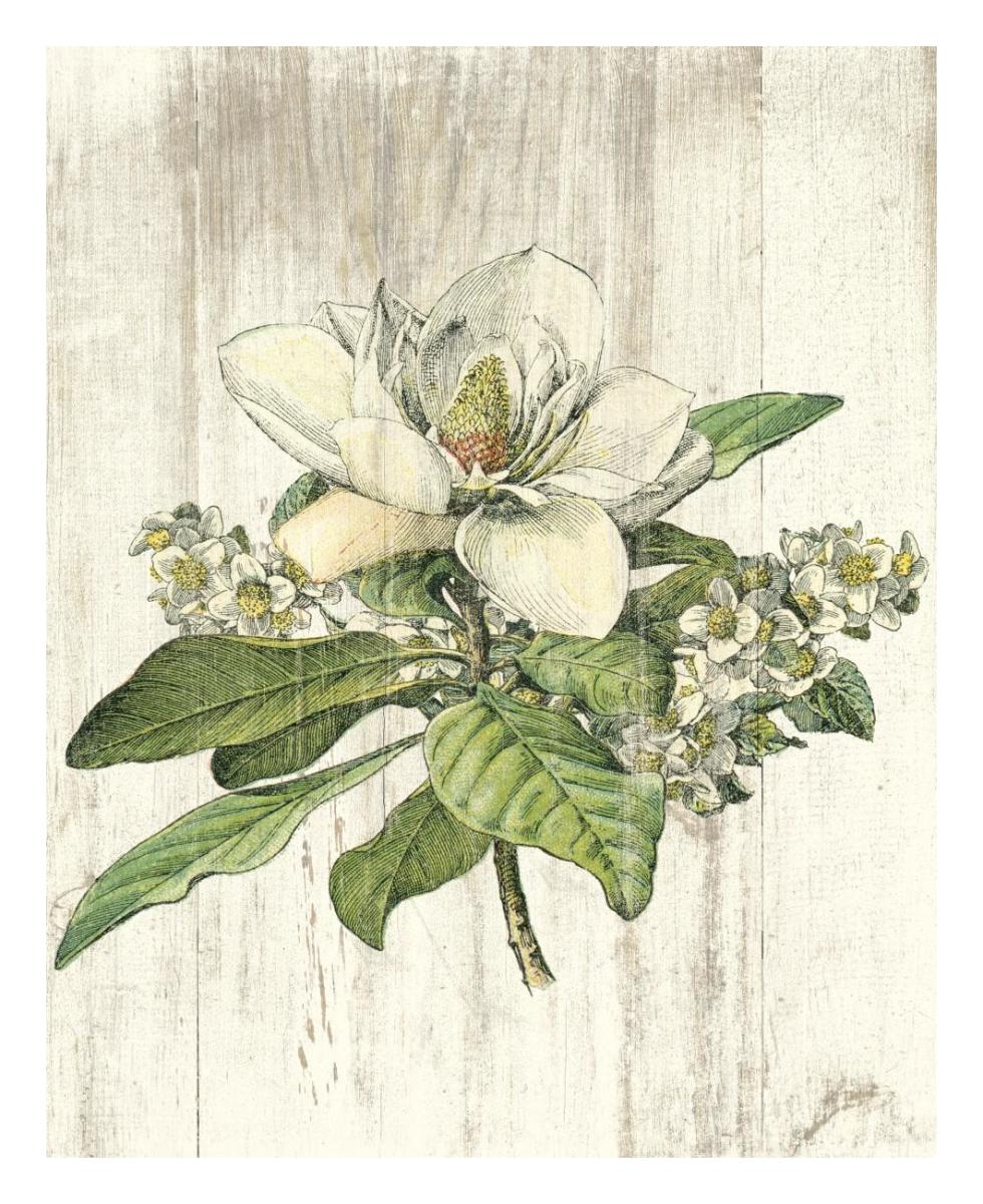 Magnolia de Printemps no Words -Paper Art-22"x26"
