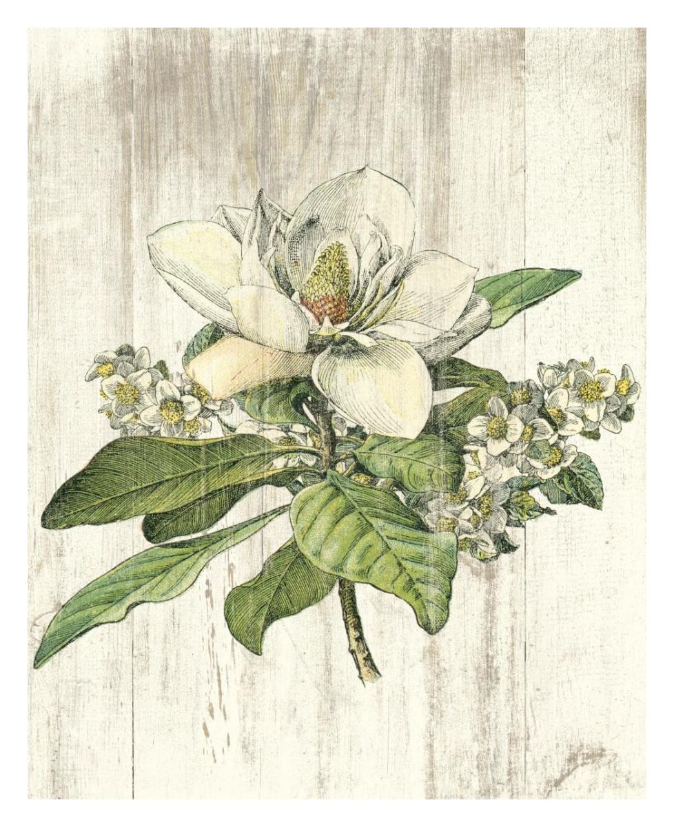 Magnolia de Printemps no Words -Paper Art-24"x30"