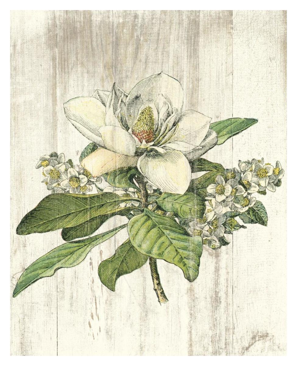 Magnolia de Printemps no Words -Paper Art-30"x37"