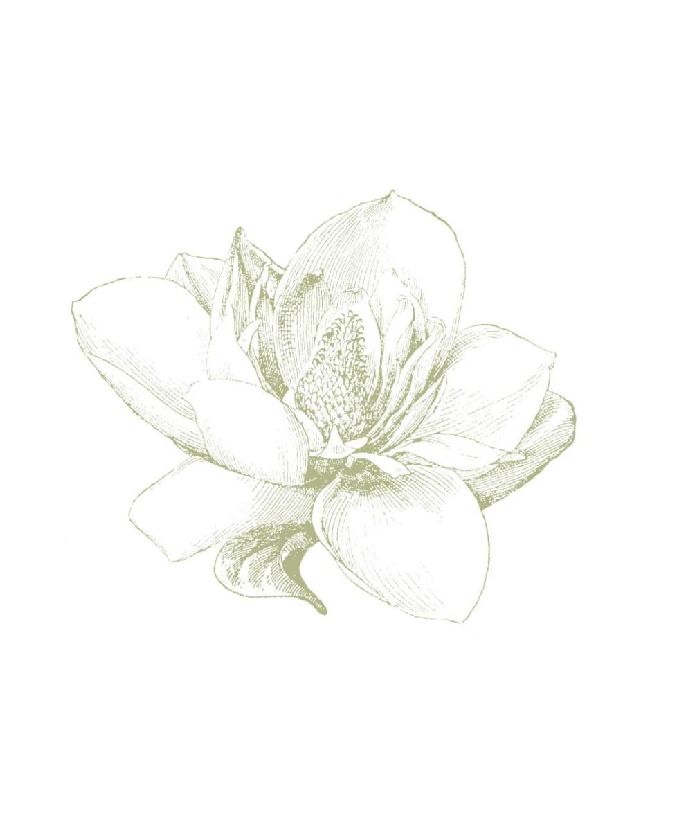 Le Jardin Printemps Pattern I Magnolia -Paper Art-22"x26"