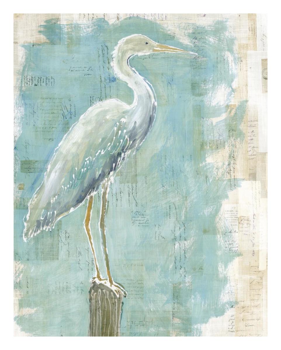 Coastal Egret I working -Paper Art-22"x26"