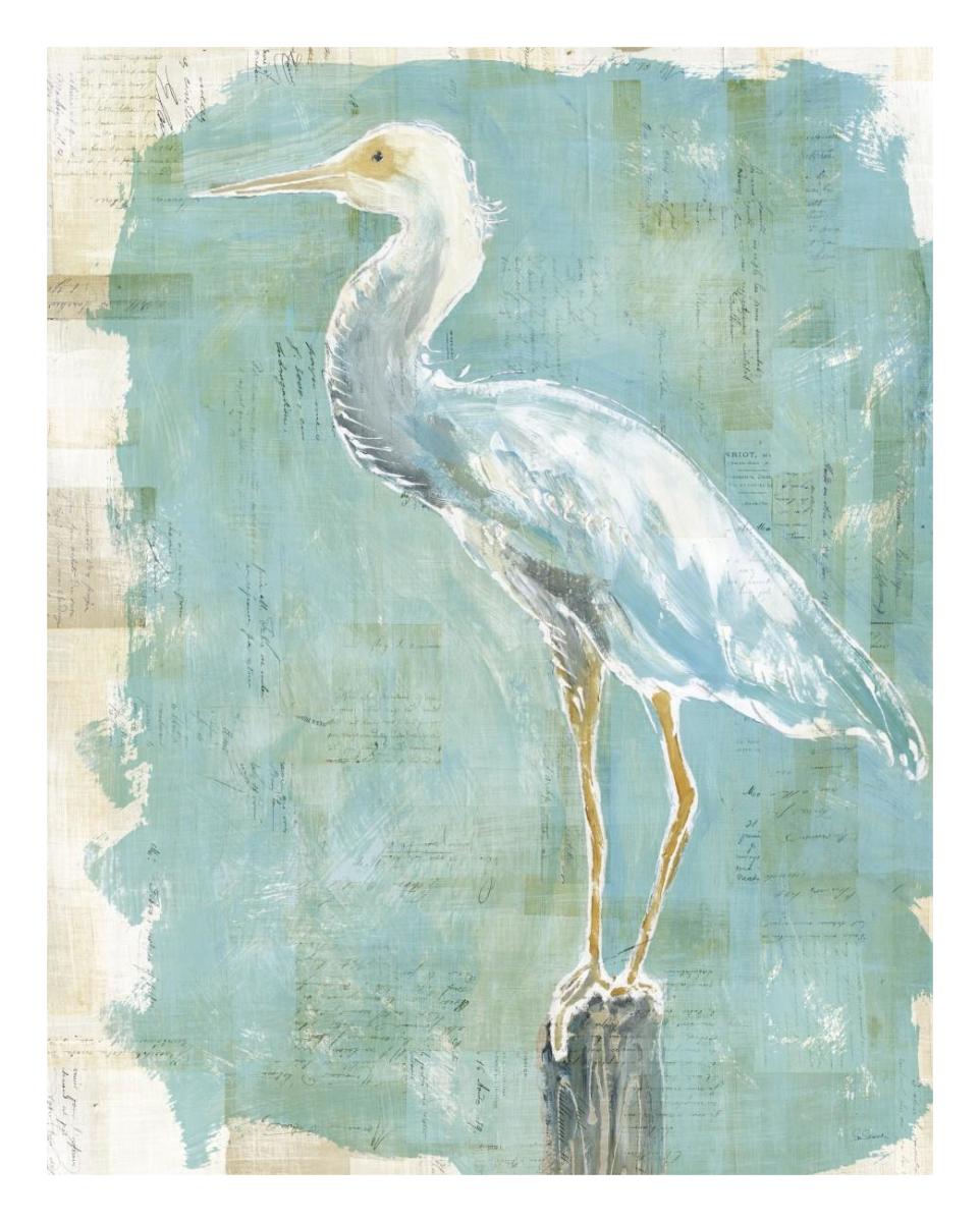 Coastal Egret II working -Paper Art-22"x26"