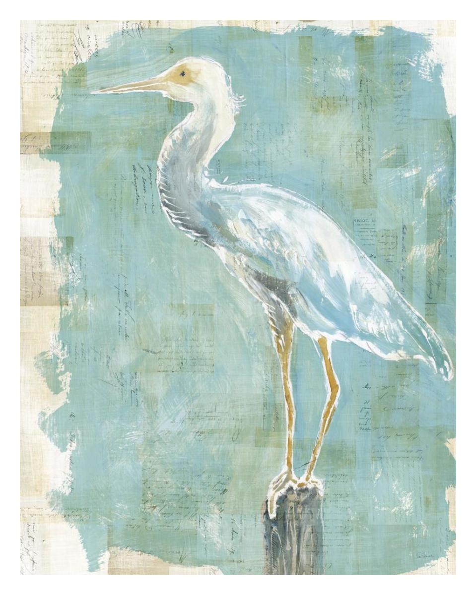 Coastal Egret II working -Paper Art-24"x30"