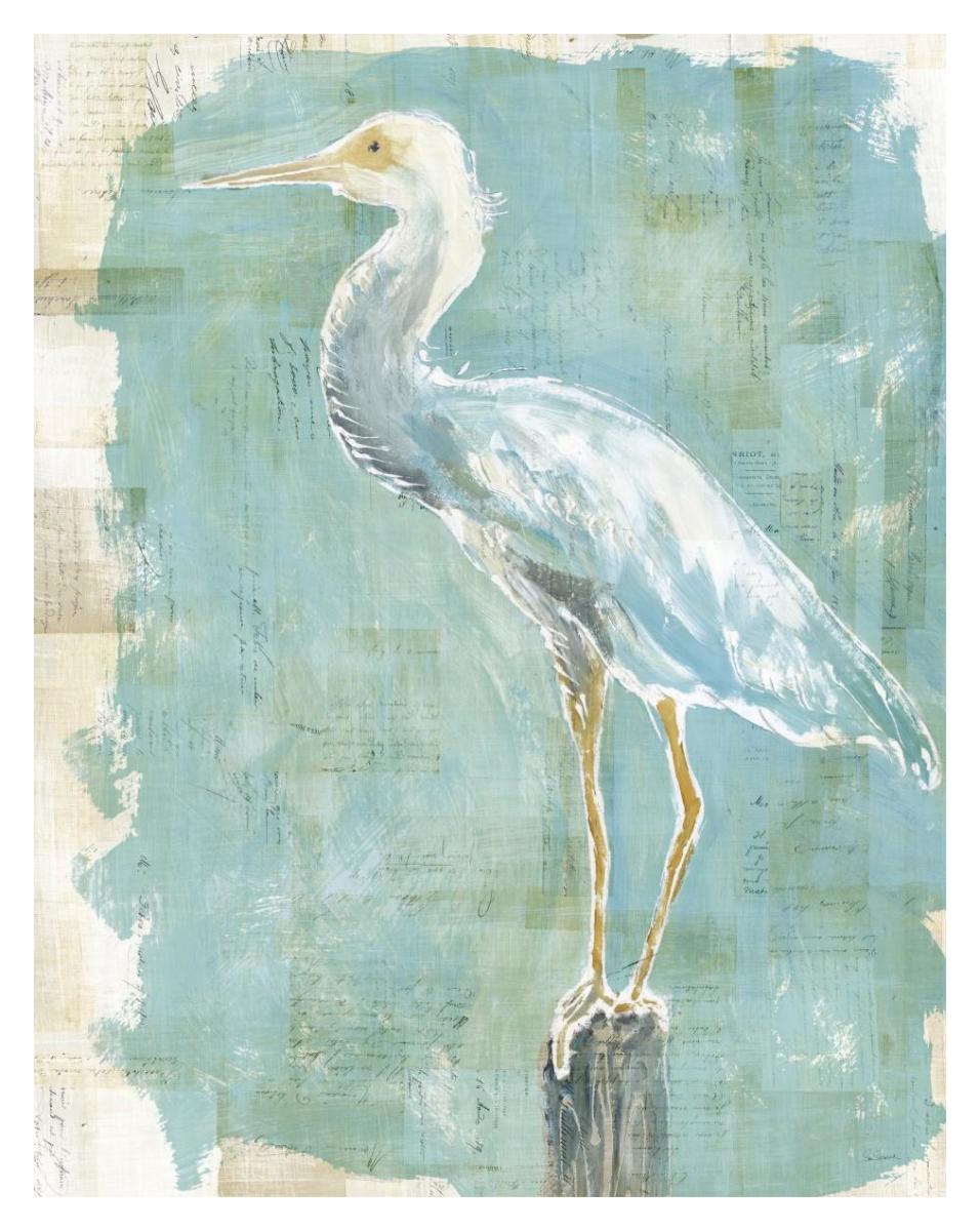 Coastal Egret II working -Paper Art-30"x37"