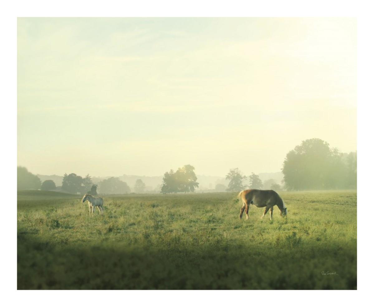 Farm Morning I -Paper Art-22"x18"