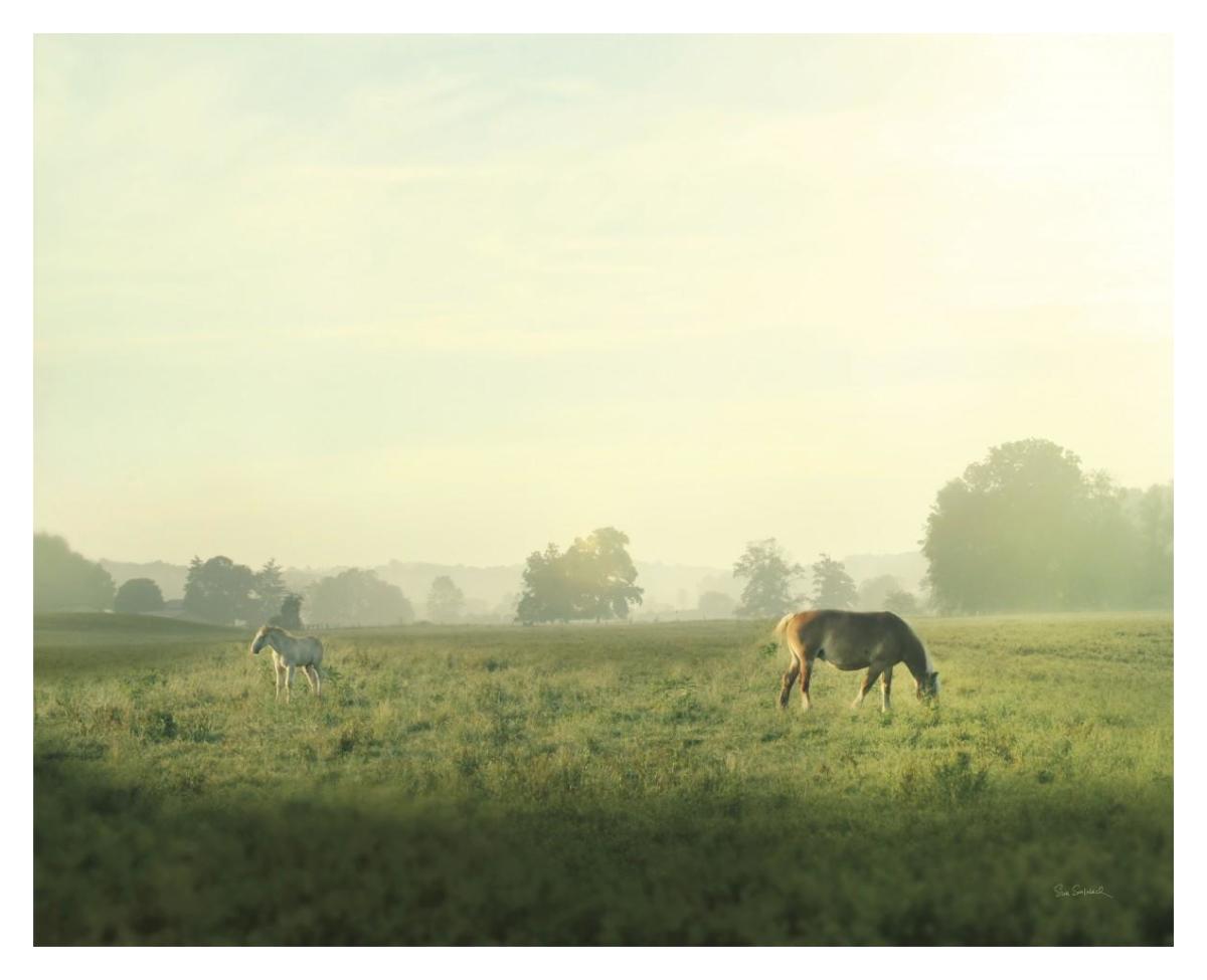 Farm Morning I -Paper Art-37"x30"