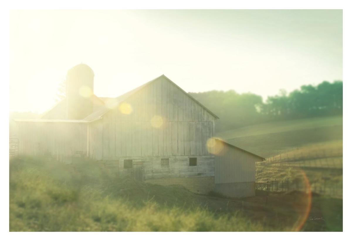 Farm Morning II -Paper Art-20"x14"