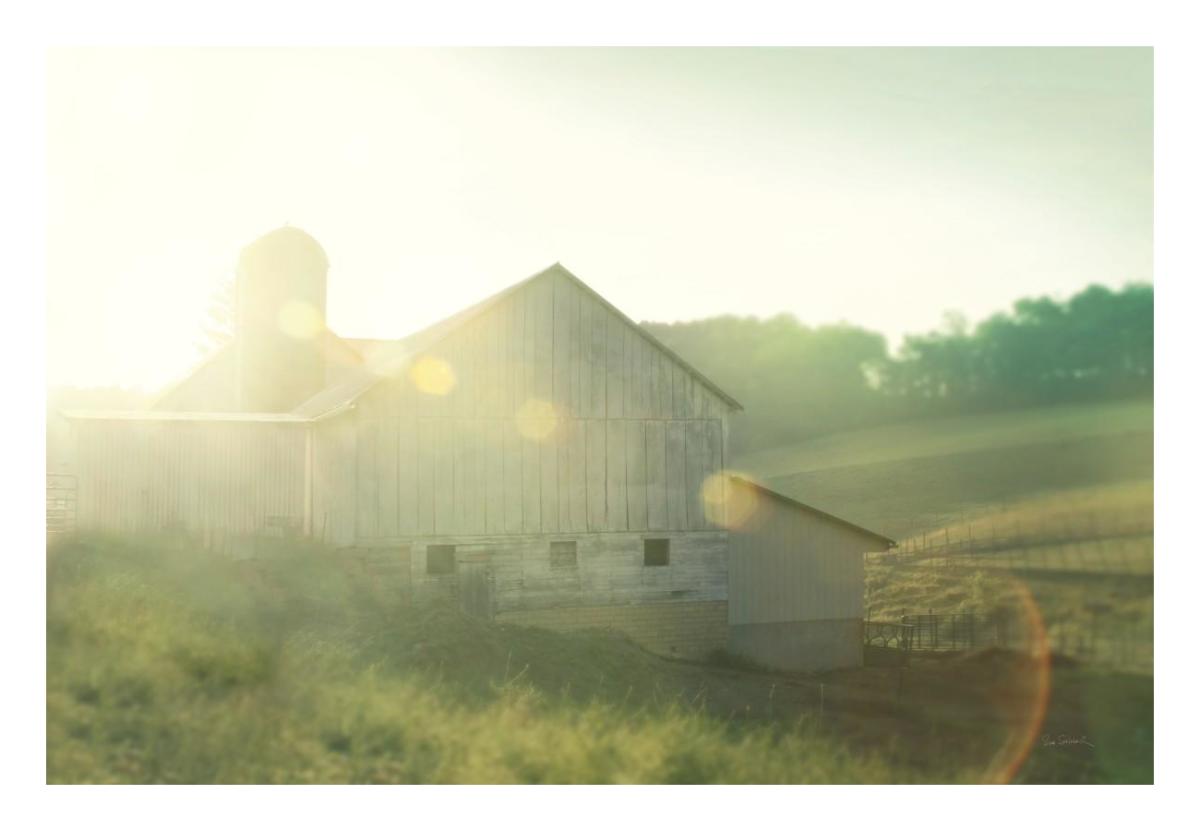Farm Morning II -Paper Art-26"x18"