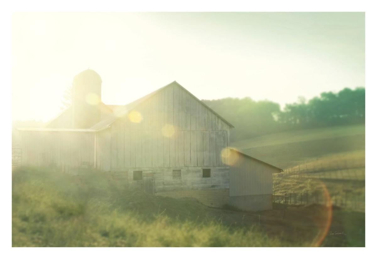 Farm Morning II -Paper Art-32"x22"