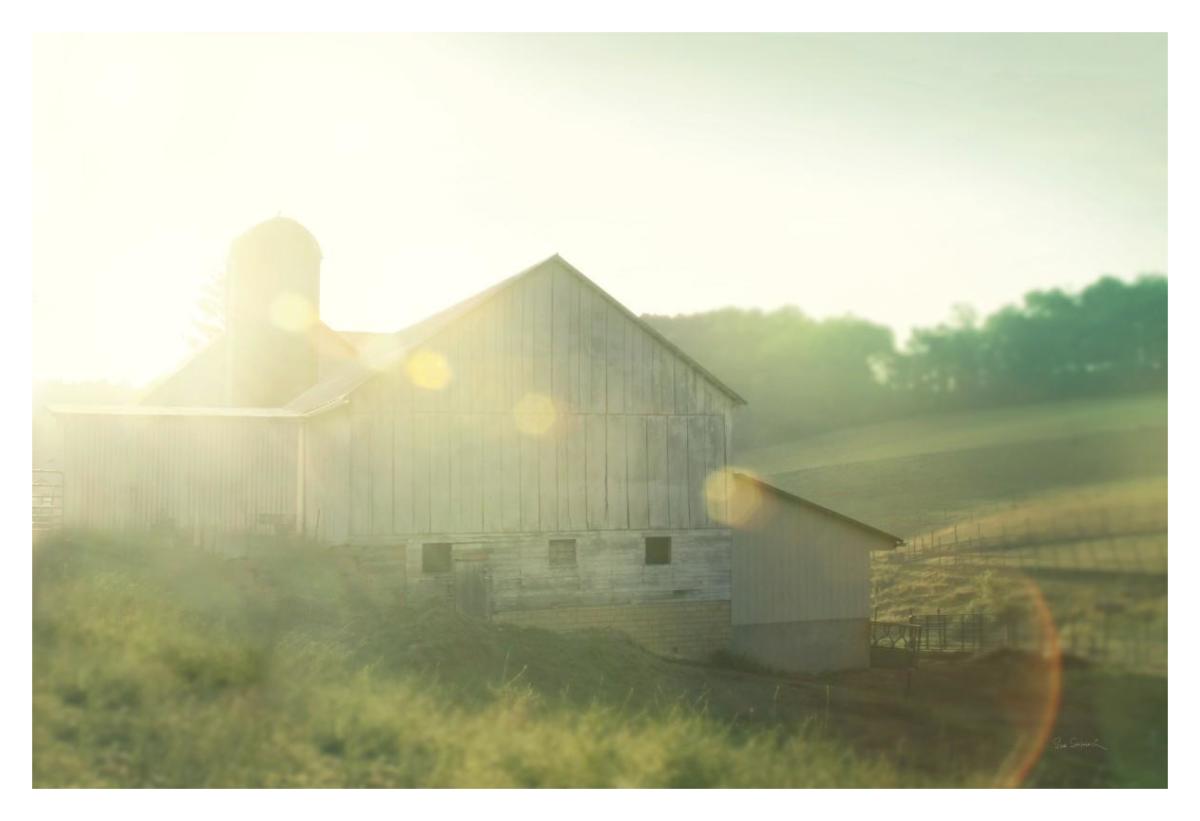Farm Morning II -Paper Art-38"x26"