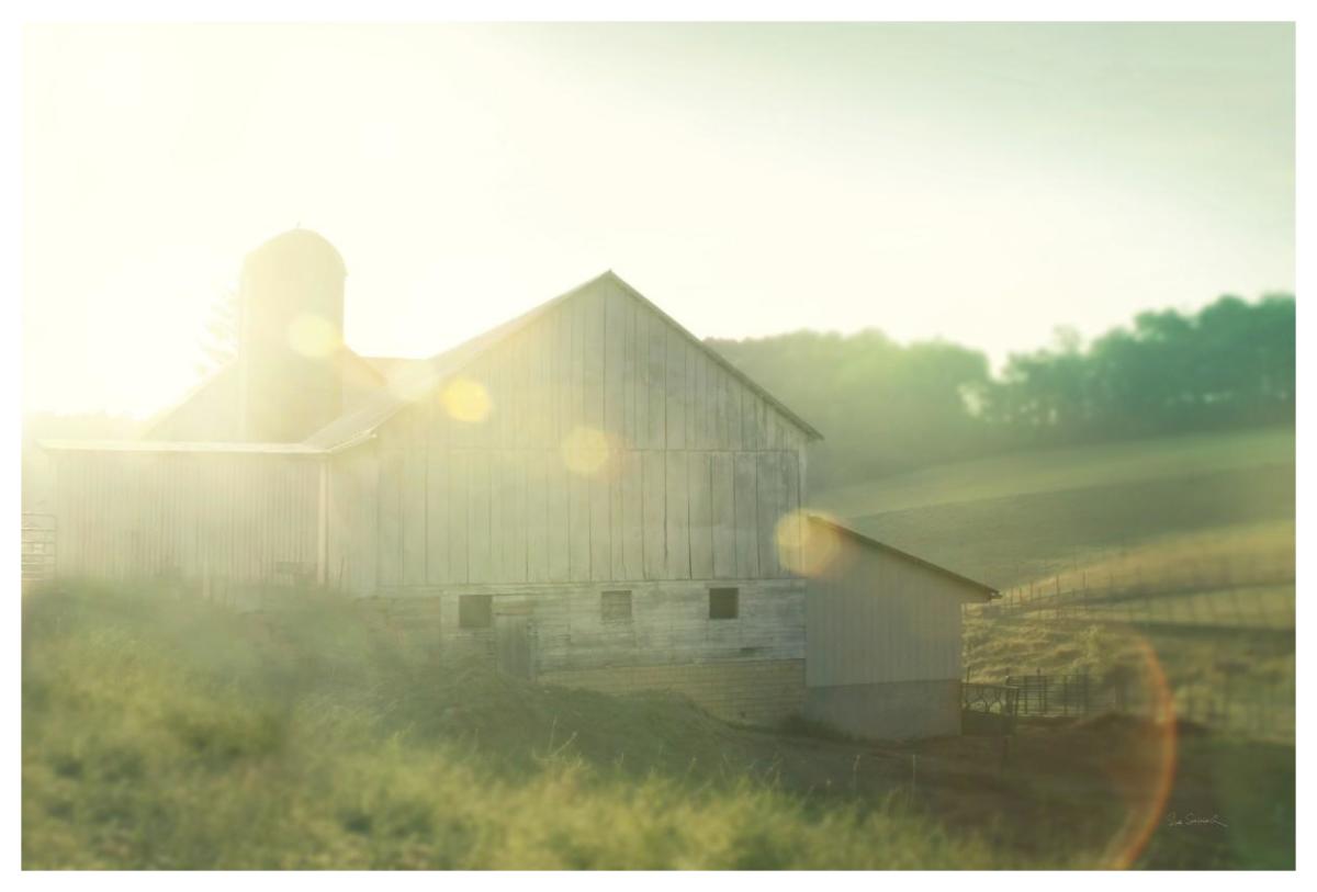 Farm Morning II -Paper Art-62"x42"