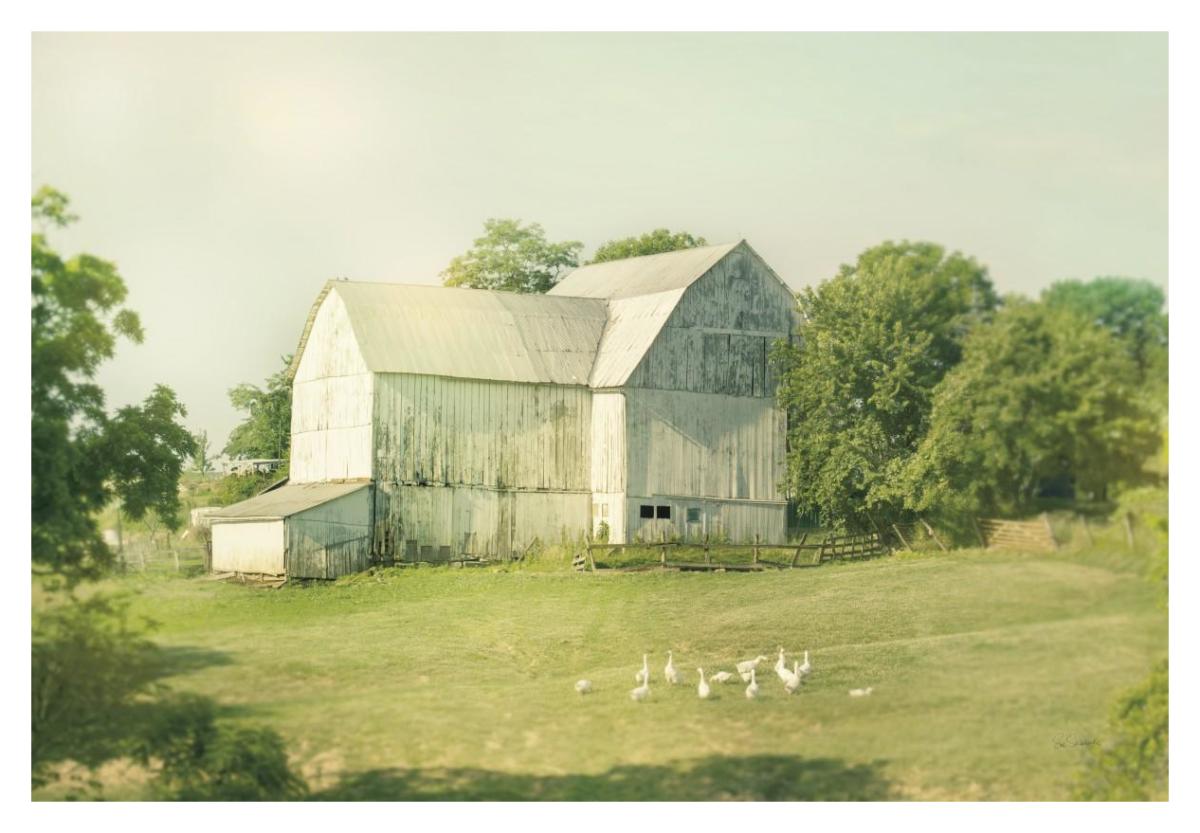 Farm Morning III -Paper Art-20"x14"