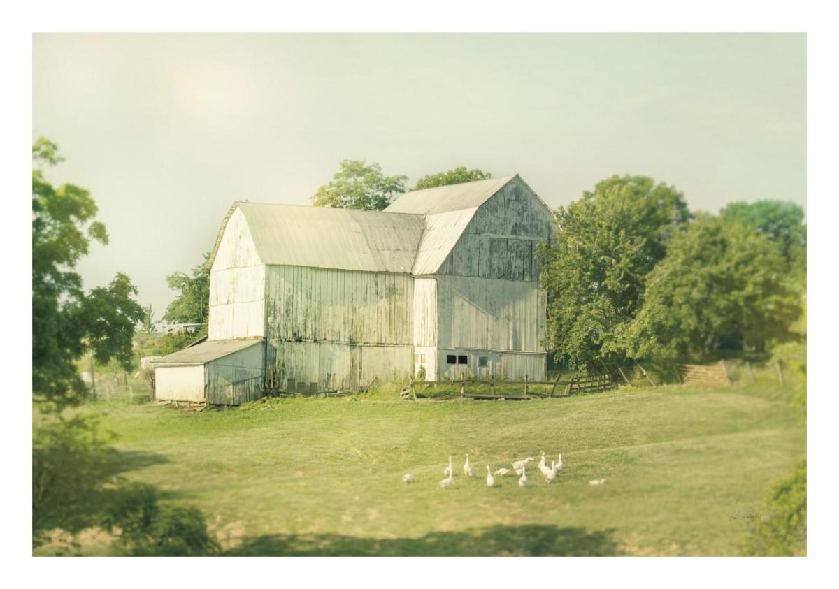 Farm Morning III -Paper Art-26"x18"