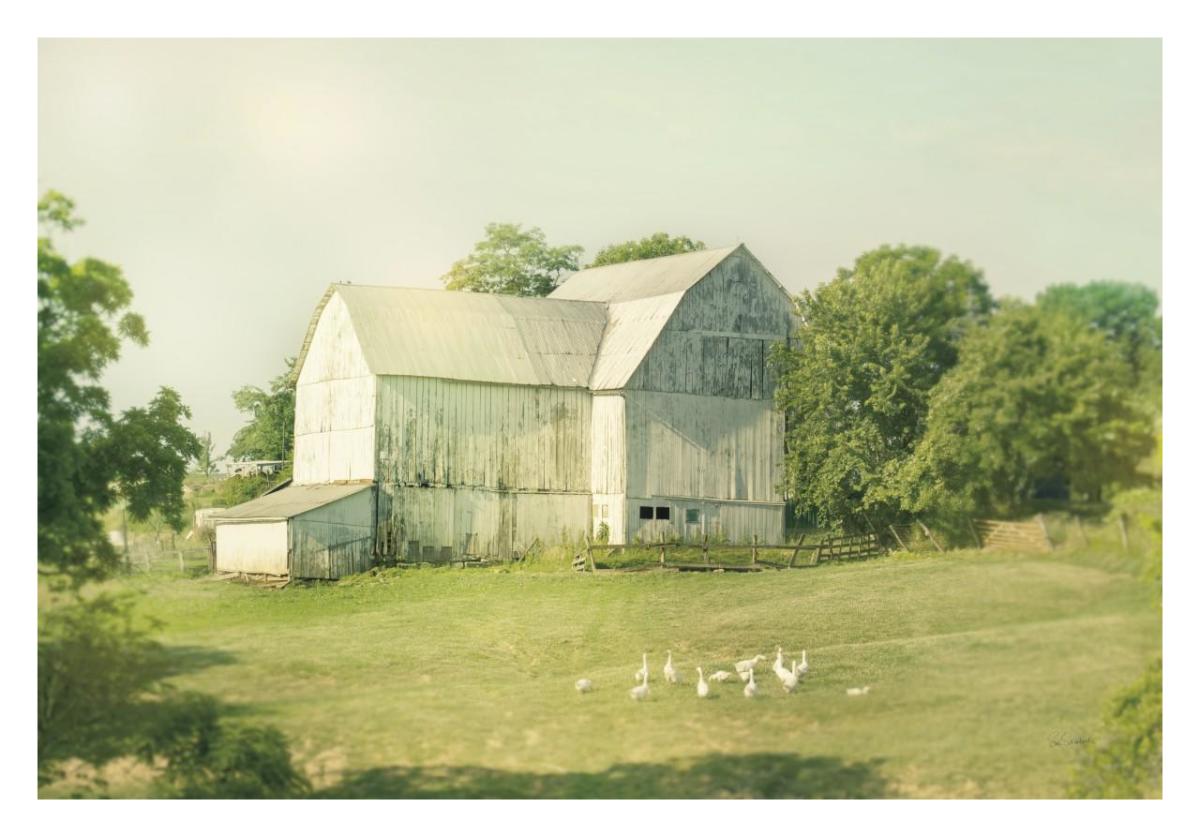 Farm Morning III -Paper Art-32"x22"
