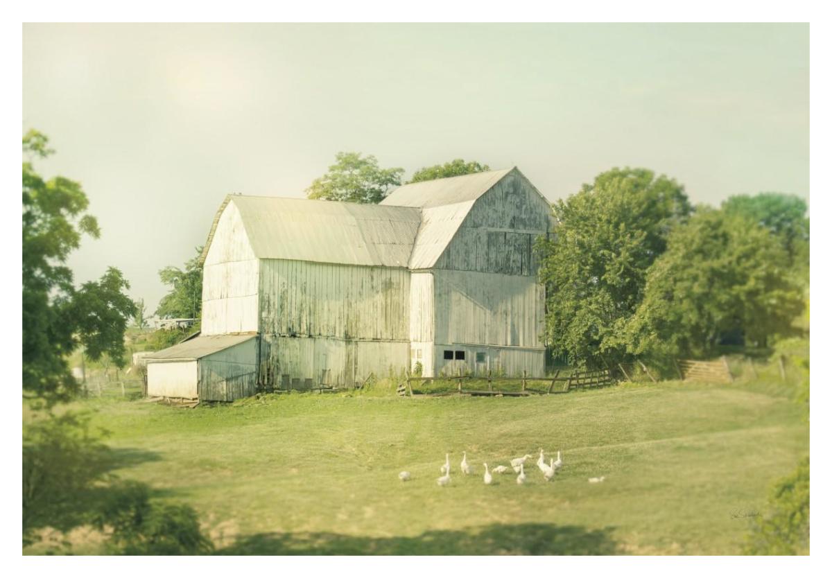 Farm Morning III -Paper Art-38"x26"
