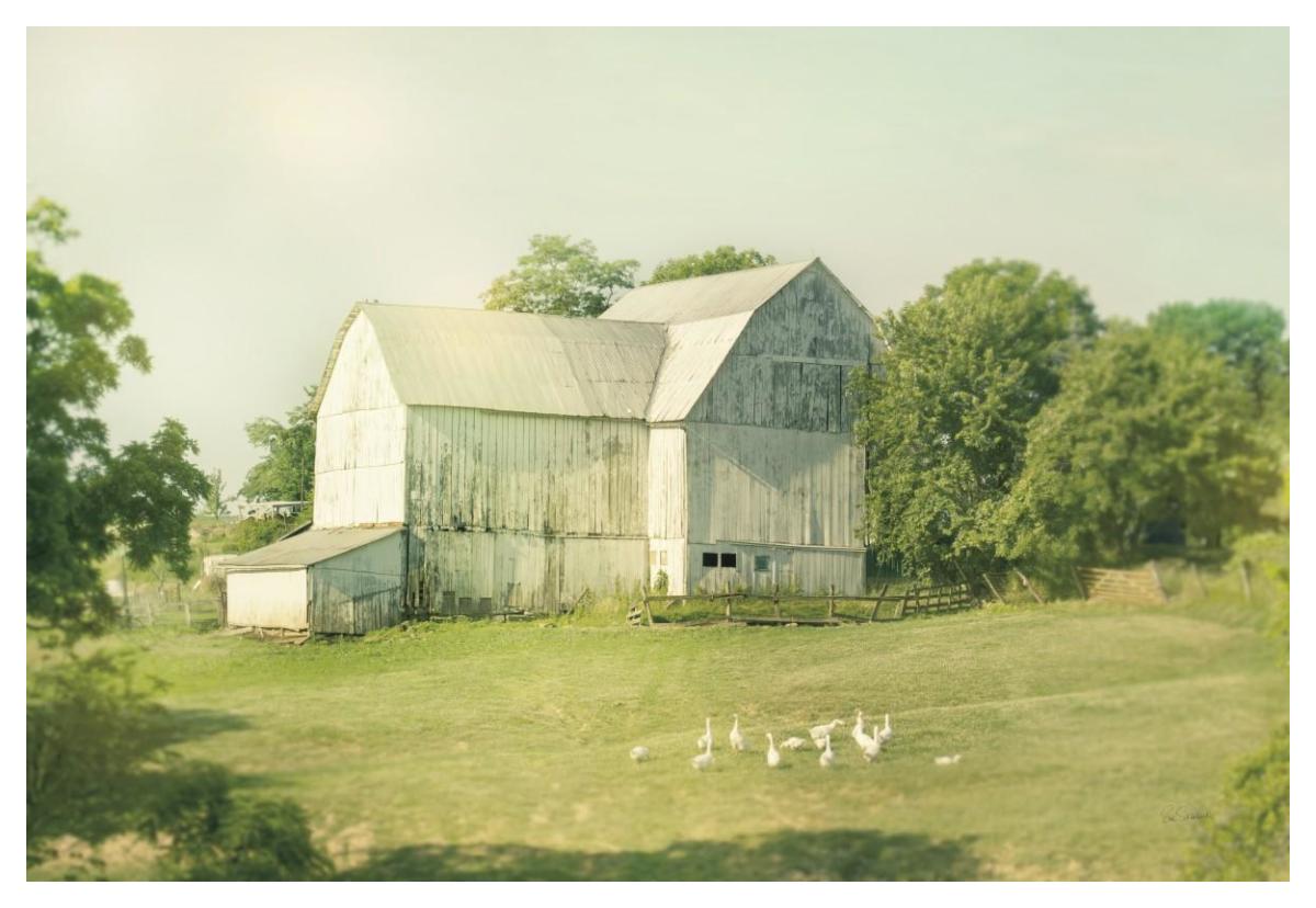 Farm Morning III -Paper Art-50"x34"